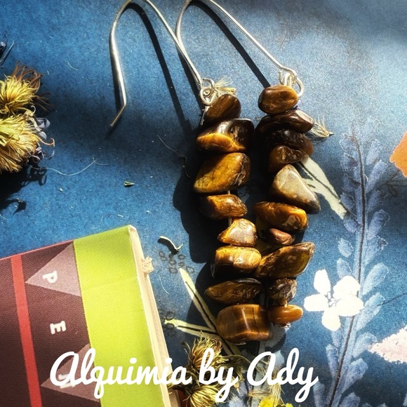 Alquimia Brown and Silver Earrings - Picture 1 of 1